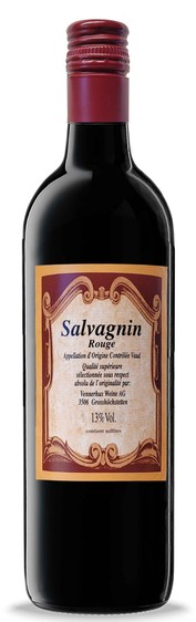 Salvagnin